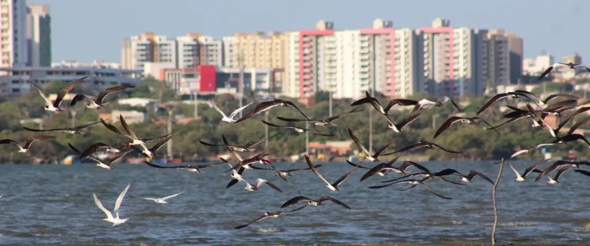 Barranquilla renace en el Magdalena