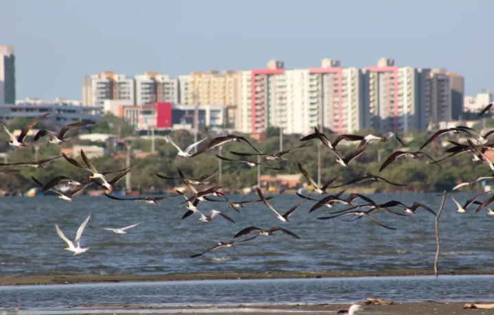 Barranquilla renace en el Magdalena