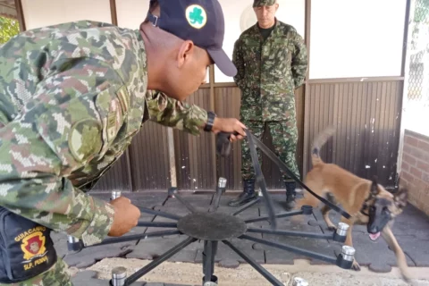 Laboratorio clínico para perros detectores en el Valle