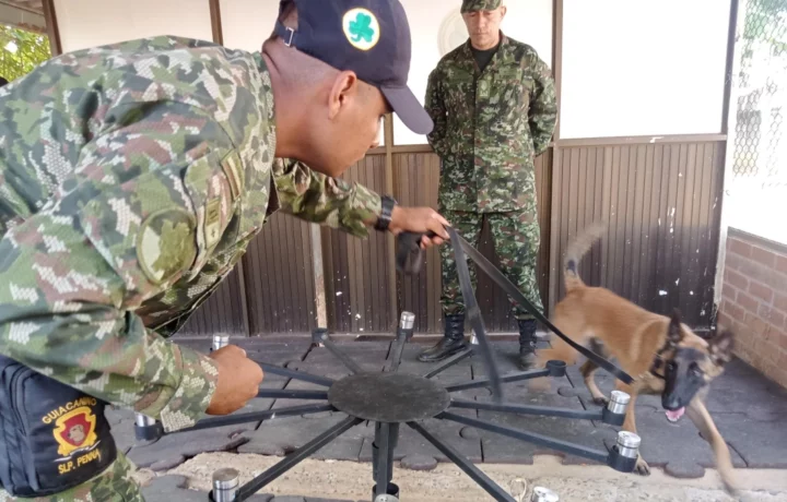 Laboratorio clínico para perros detectores en el Valle
