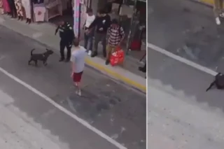 Policía mata perro en Rionegro