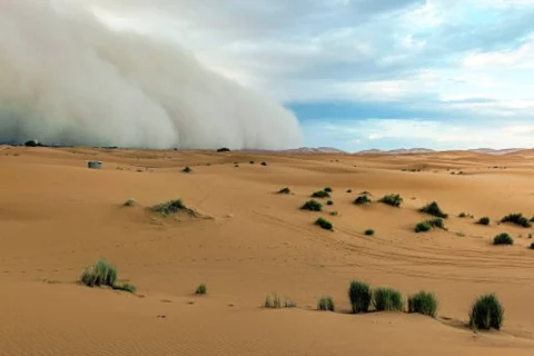 Polvo del Sahara llega a Colombia