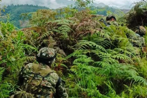 Seis disidentes de Farc muertos en combate en Cauca