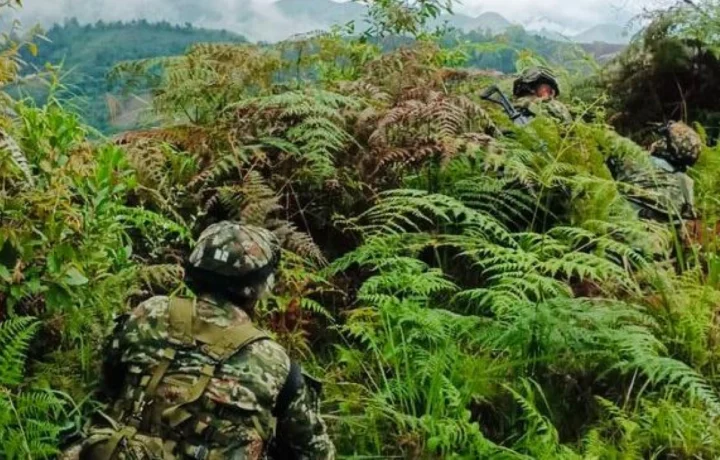 Seis disidentes de Farc muertos en combate en Cauca
