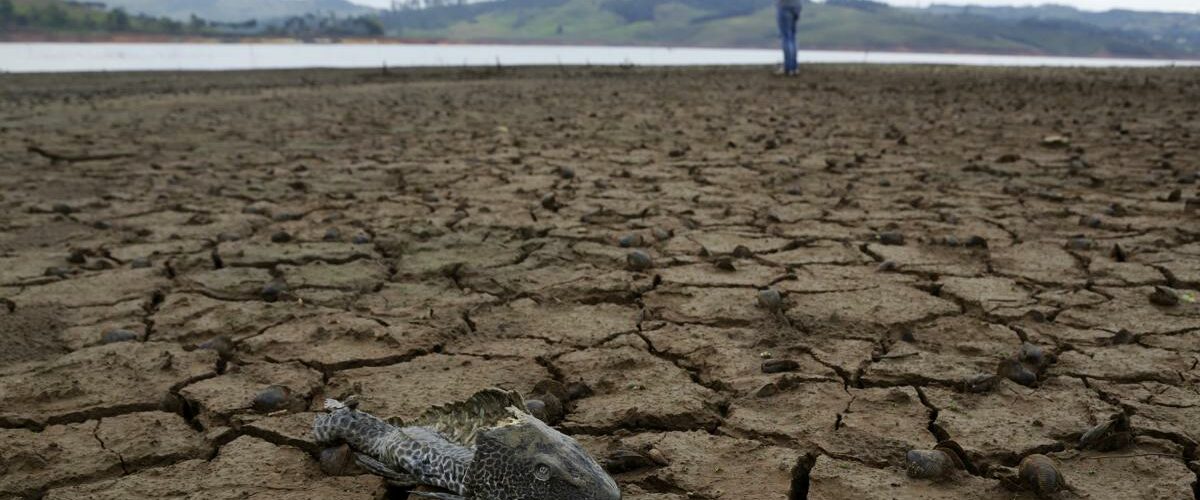 Sequía en Colombia: junio y agosto serán los meses más críticos