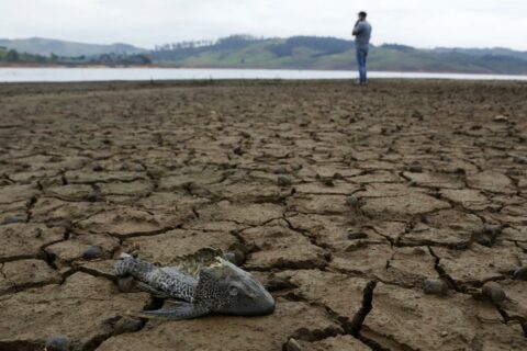 Sequía en Colombia: junio y agosto serán los meses más críticos