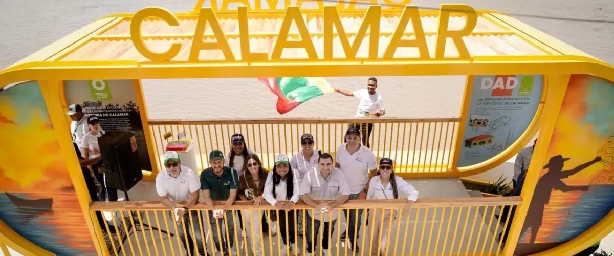 Calamar se viste de colores para atraer turistas