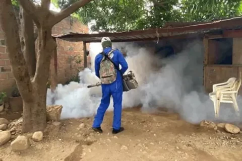 Dengue azota Valledupar con 1.500 contagios