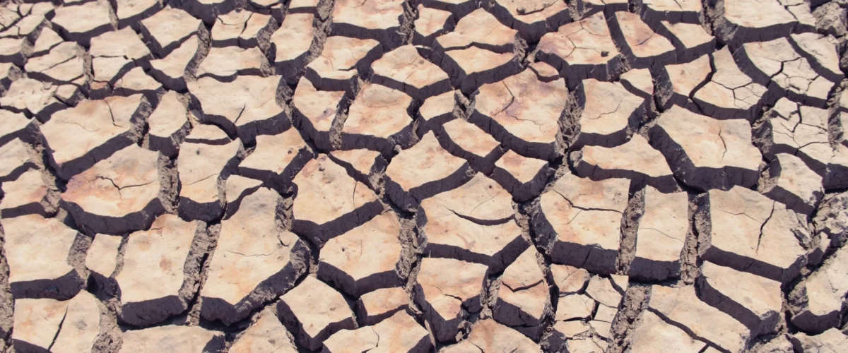 El Niño: fenómeno histórico se avecina