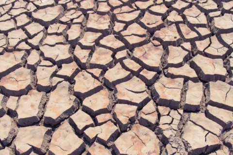 El Niño: fenómeno histórico se avecina