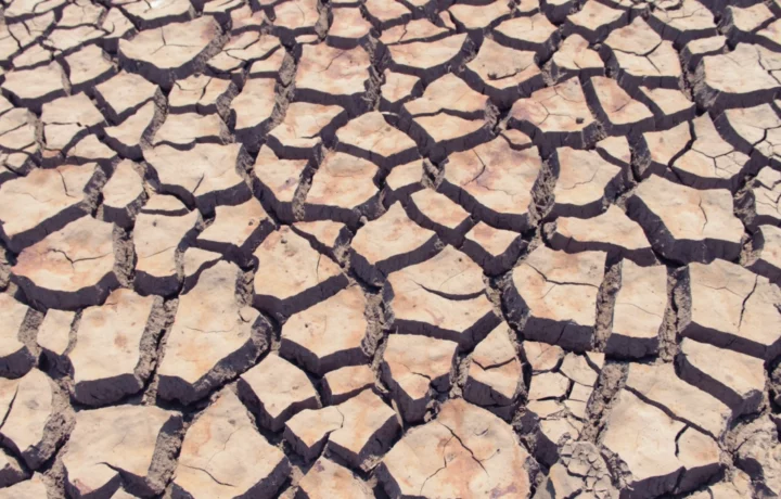 El Niño: fenómeno histórico se avecina