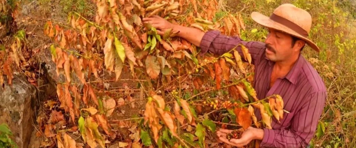El Niño llega a Colombia con tres meses de anticipación