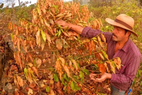 El Niño llega a Colombia con tres meses de anticipación