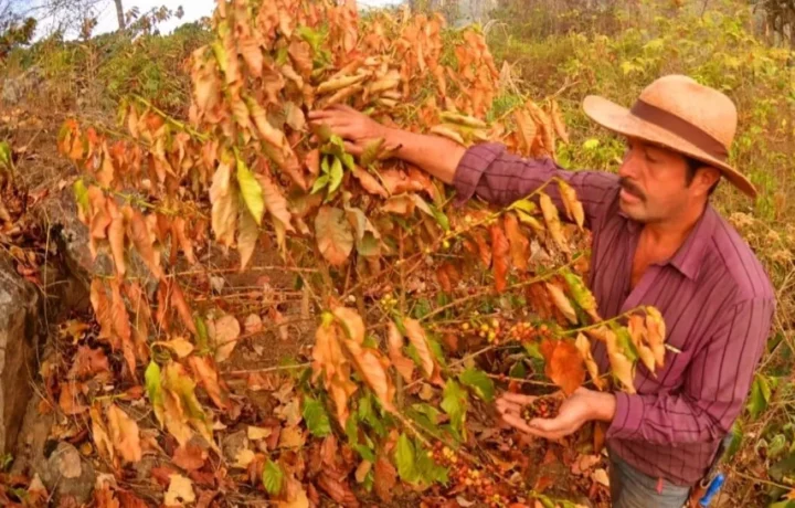 El Niño llega a Colombia con tres meses de anticipación