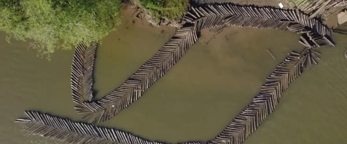 Madera ilegal: Armada reporta decomisos récord en Amazonía