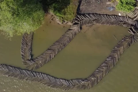 Madera ilegal: Armada reporta decomisos récord en Amazonía