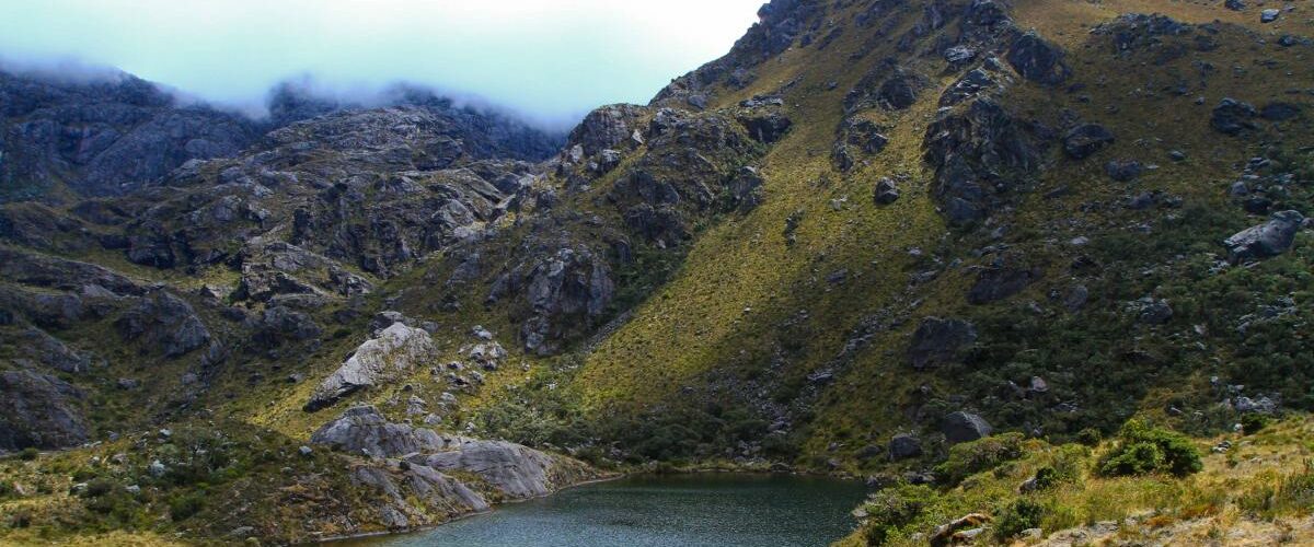 Minería ilegal en Santurbán aumenta sin control