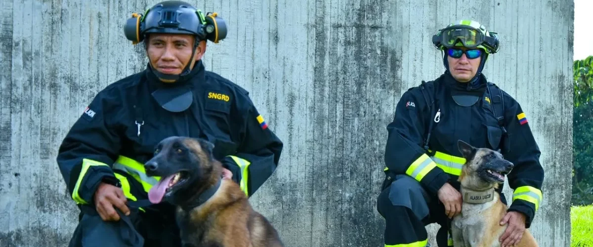 Perros colombianos ayudan en terremotos de Venezuela