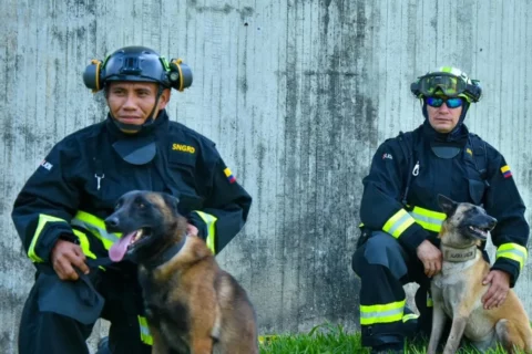 Perros colombianos ayudan en terremotos de Venezuela