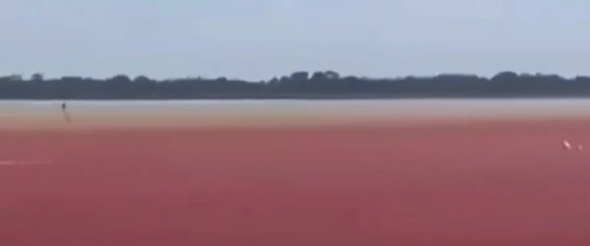 Ciénaga de El Llanito se vuelve roja