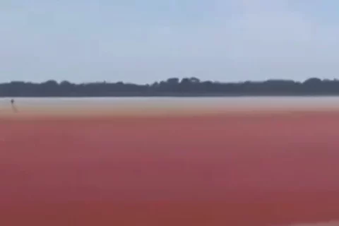Ciénaga de El Llanito se vuelve roja
