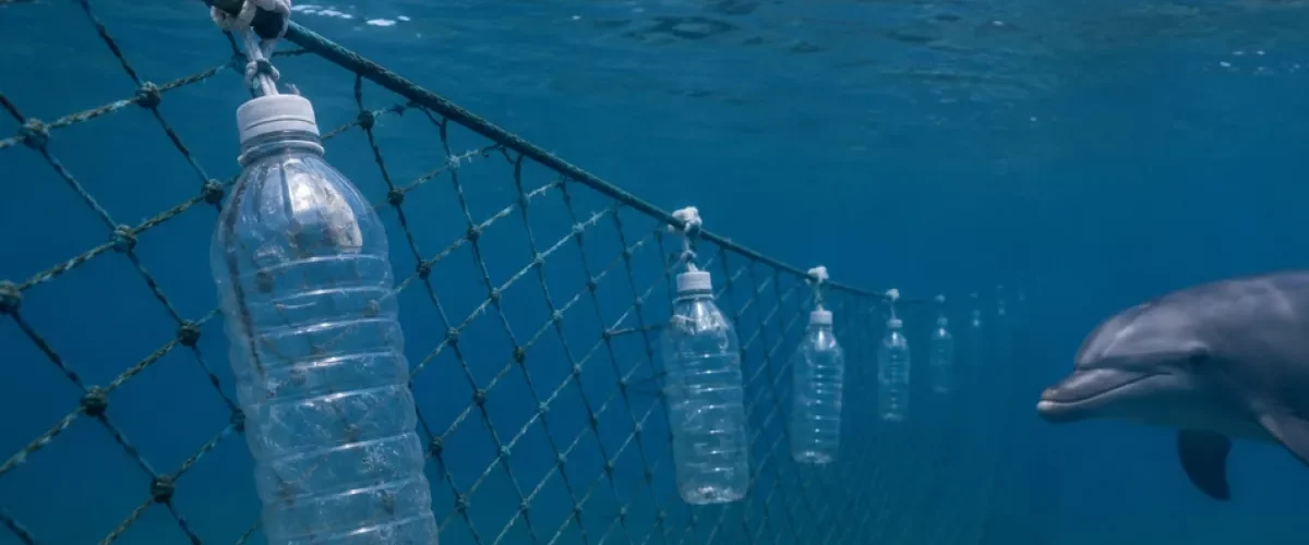 Delfines se salvan con botellas recicladas