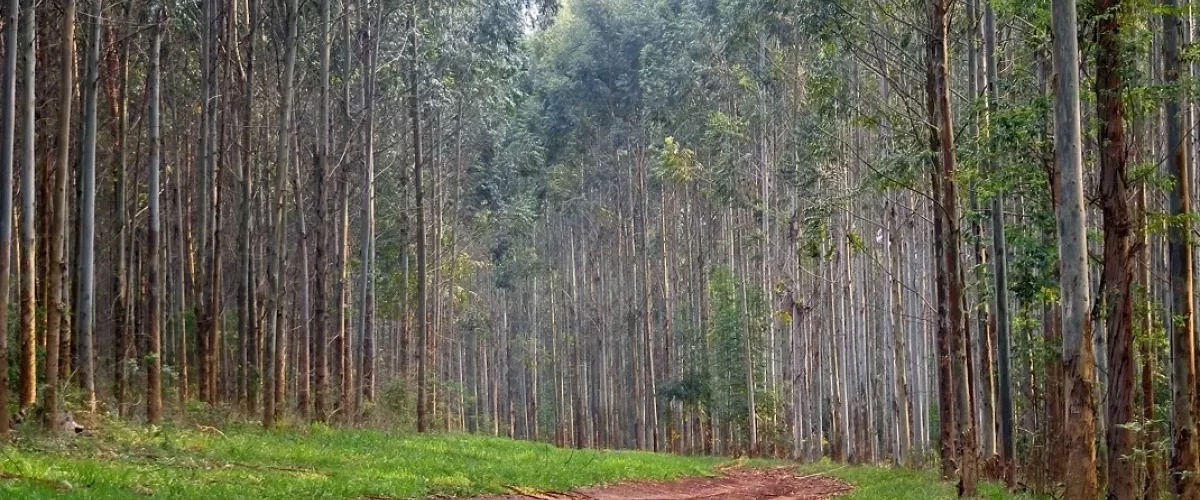Denuncian perfilamiento en restitución de tierras