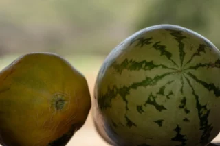 Granja experimental revoluciona tierras minadas