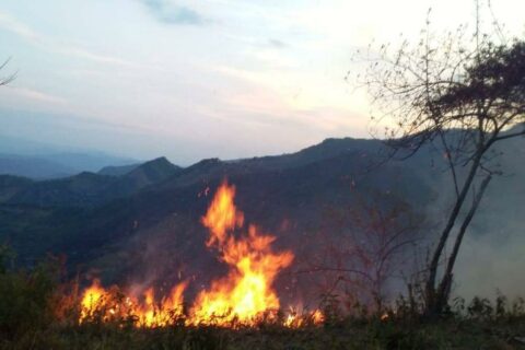 Incendios en Colombia por El Niño