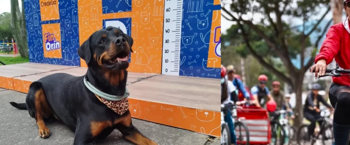 Mascotas invaden la Ciclovía de Bogotá