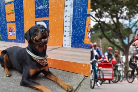Mascotas invaden la Ciclovía de Bogotá