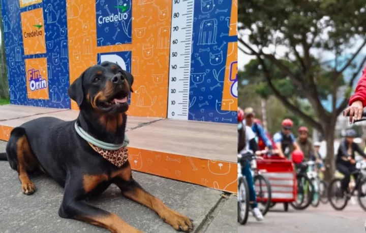 Mascotas invaden la Ciclovía de Bogotá