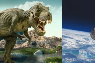 Meteorito que mató dinosaurios es de tipo muy raro