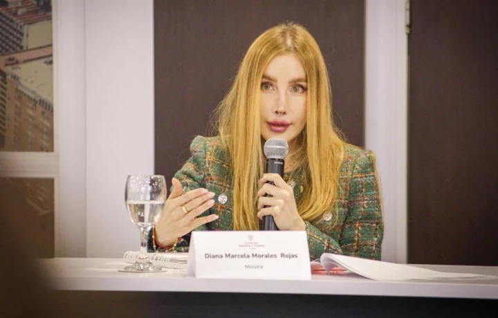 Ministra de Comercio en la mira del Congreso