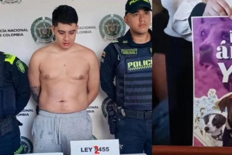 Perrita lanzada desde octavo piso en Dosquebradas