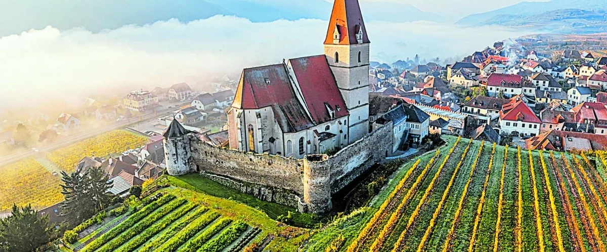 Rutas del vino europeo para descubrir sabores auténticos