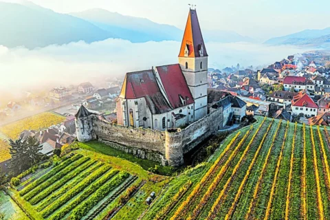 Rutas del vino europeo para descubrir sabores auténticos