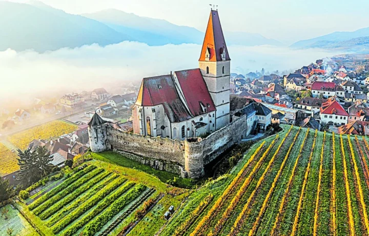Rutas del vino europeo para descubrir sabores auténticos