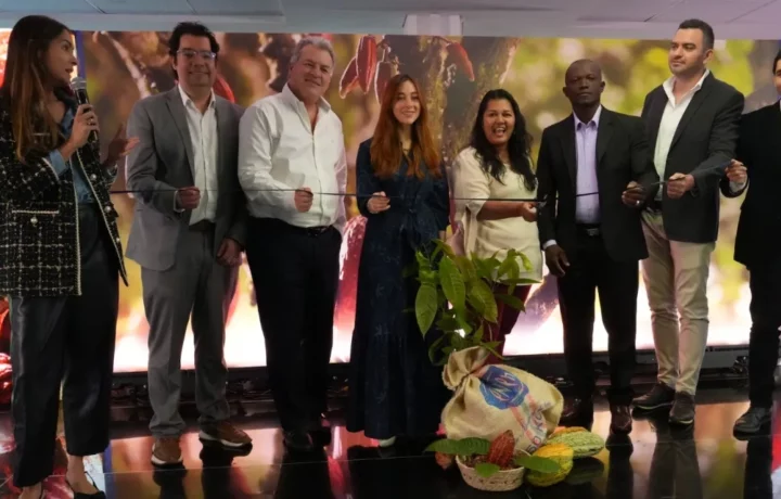 Cacao reemplaza a coca en 25.000 hogares