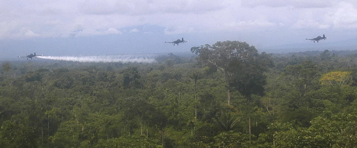 Fumigación aérea vuelve para acabar con narcocultivos