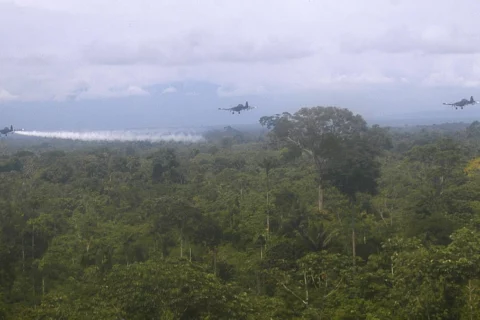 Fumigación aérea vuelve para acabar con narcocultivos