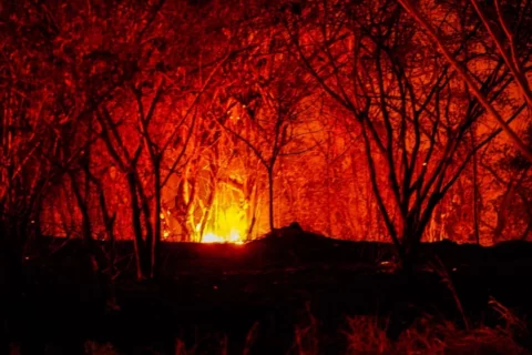Incendios en el Tolima: la lucha contra un fuego que no da abasto