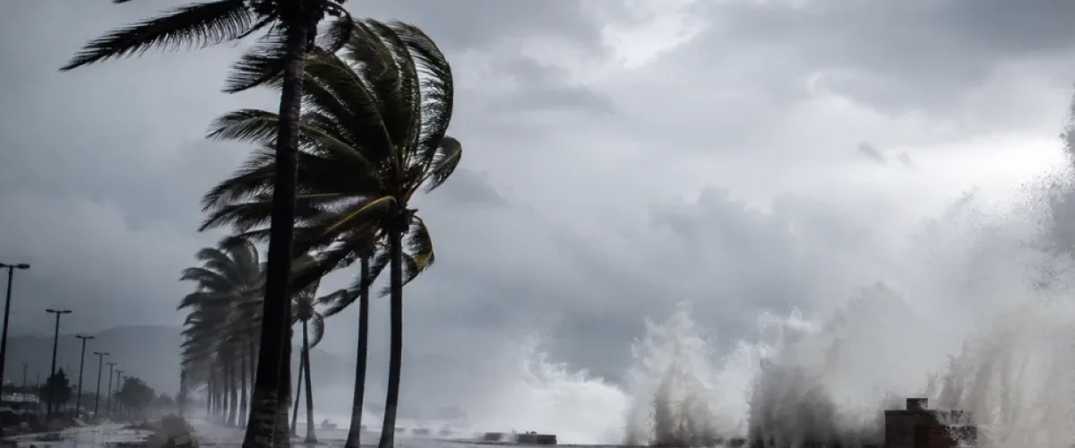 Mundo en llamas por El Niño
