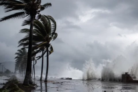 Mundo en llamas por El Niño
