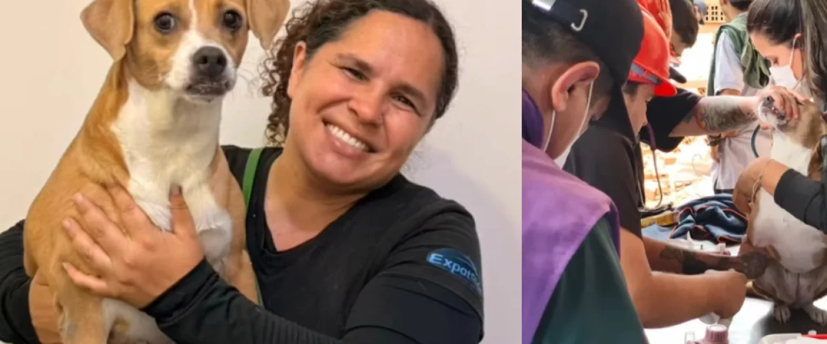 Perrita sobrevive 4 días bajo escombros en Cali
