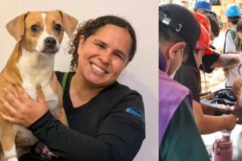 Perrita sobrevive 4 días bajo escombros en Cali