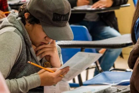Ilva Myriam Hoyos asume Ministerio de Educación tras salida de Morales
