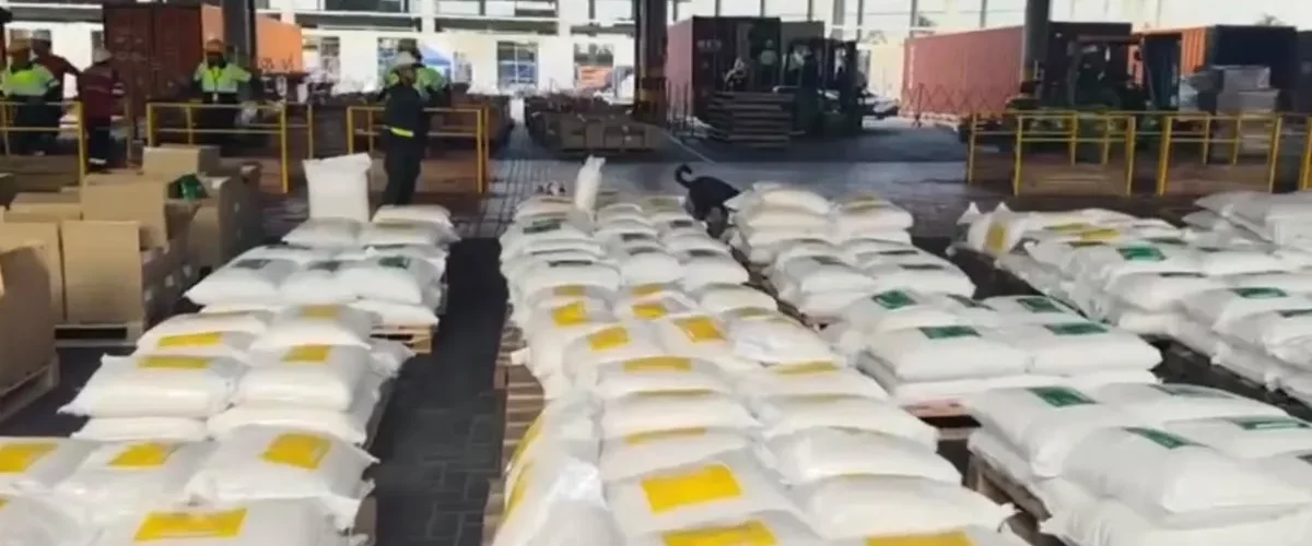 Narcos reactivan rutas caribeñas para exportar cocaína a Europa